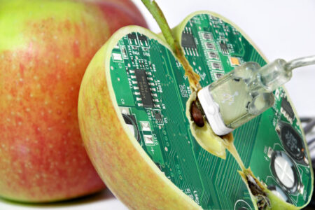Connecticut Is First State to Mandate Labeling of Genetically Engineered Foods Image